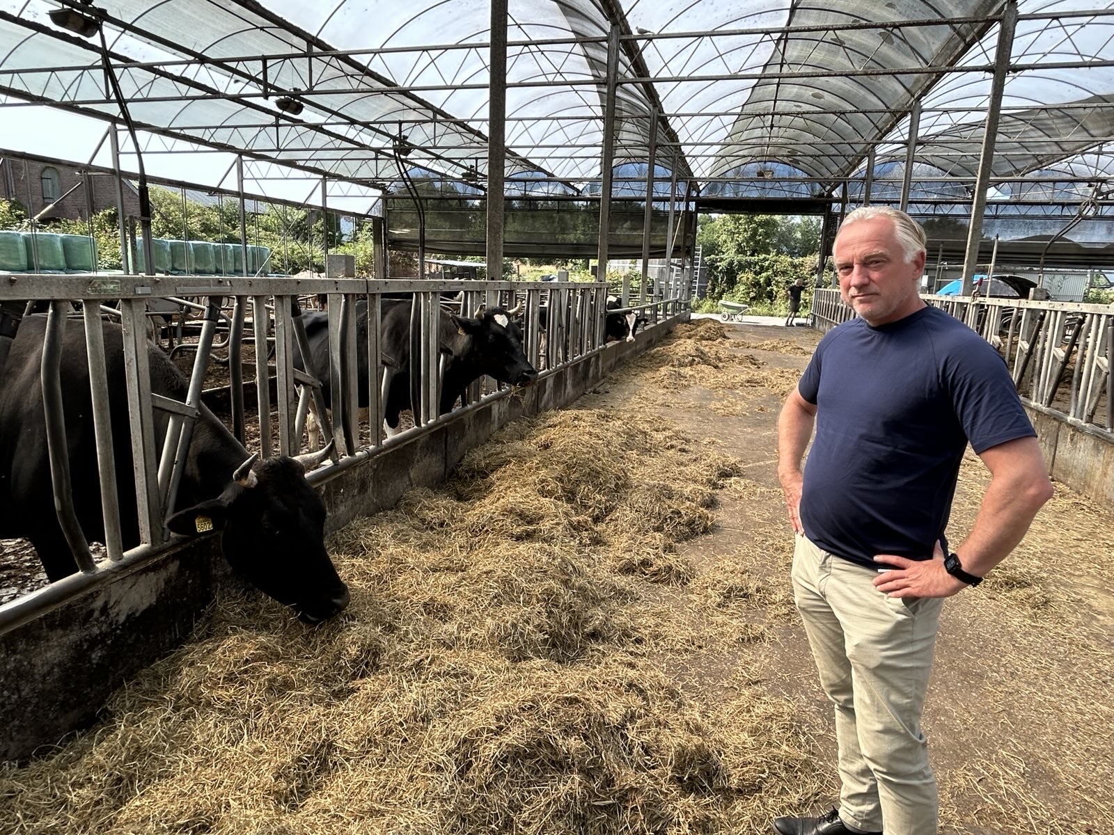 Portret van boer Fred van der Wart in zijn stal met koeien.