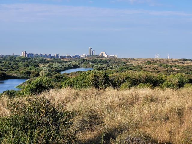 Landschap duinen en Scheveningen