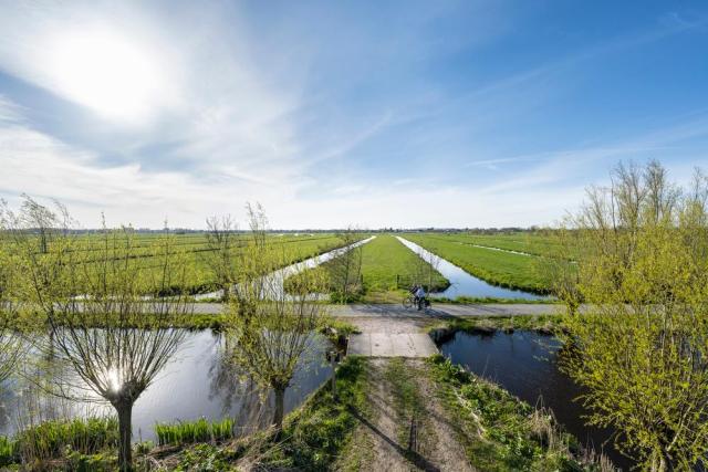 Krimpenerwaard polderlandschap