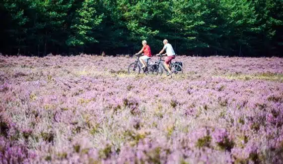Noord-Veluwe GEUS